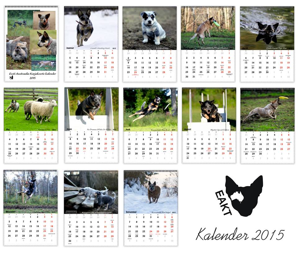 Kalender 2015