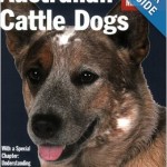 Australian Cattle Dogs Richard Beauchamp