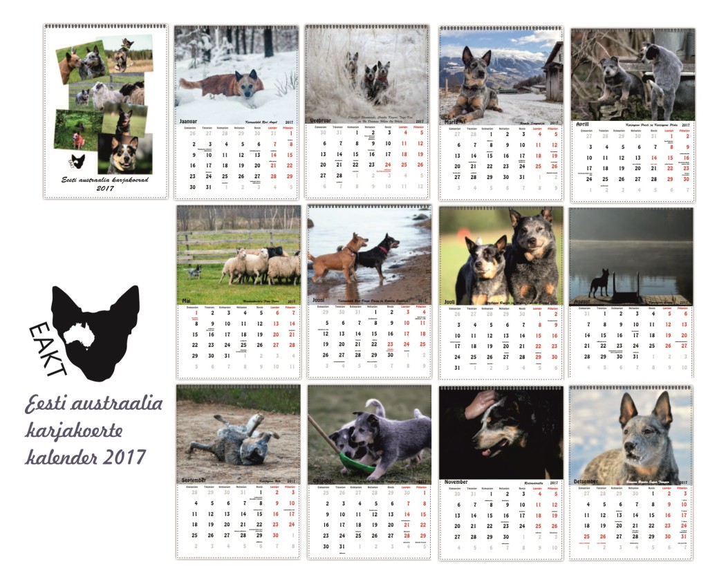 eakt-kalender-2017